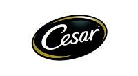 Cesar купить в Томске по выгодным ценам
