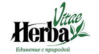 Herba Vitae