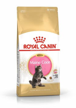 Сухой корм для котят ROYAL CANIN KITTEN MAINE COON мейн-кун, 2 кг