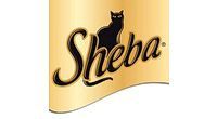 Sheba купить в Томске по выгодным ценам
