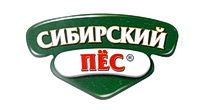 Сибирский пес купить в Томске по выгодным ценам
