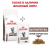 Сухой корм для кошек ROYAL CANIN GASTRO INTESTINAL, нарушение пищеварения, 2 кг Сухой корм для кошек ROYAL CANIN GASTRO INTESTINAL, нарушение пищеварения, 2 кг