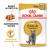 Влажный корм для кошек ROYAL CANIN British Shorthair британская, 85 г
